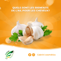 Why you should choose American Dream Products- enriching ingredients?